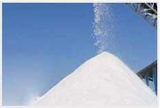 Salt Plant